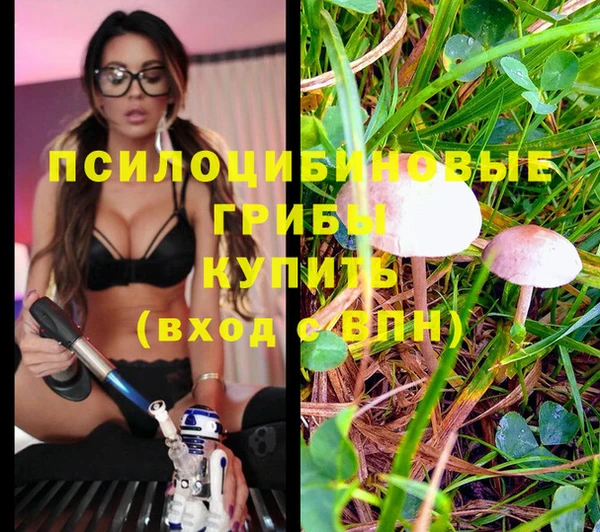 СК Баксан